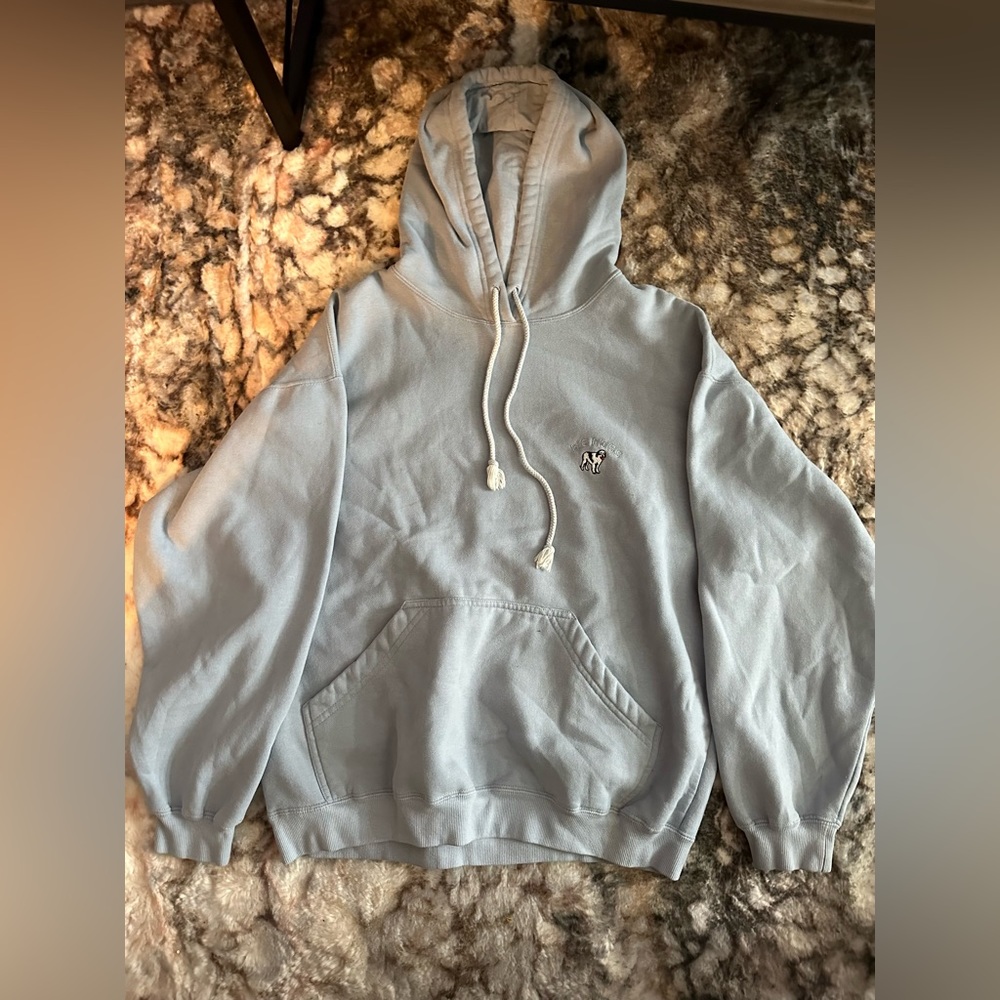 Big Dogs Brand Light Blue Hoodie